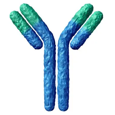Monoclonal anti-pan cytoceratin, PCK Magnetic Bead conjugate