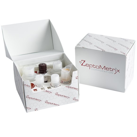 Arylesterase/Paraoxonase Assay Kit (200 tests)