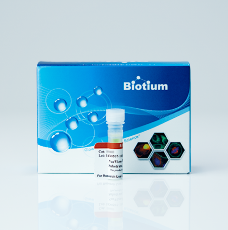 NucView® Caspase-3 Enzyme Substrates - 1x 100 µL