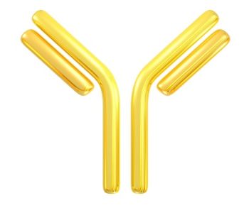 Affinity Purified Chicken anti-CHO Annexin 5 Antibody, 0.1 mg