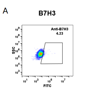 Anti-B7-H3 (Enoblituzumab) - 100 ug