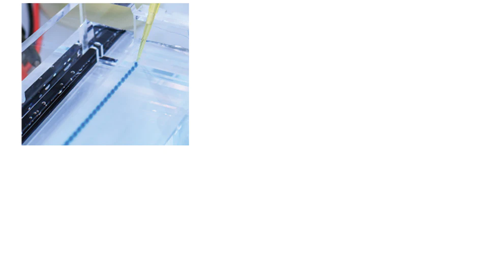 6X Loading Buffer (Blue) for DNA electrophoresis gels - 5x 1 mL