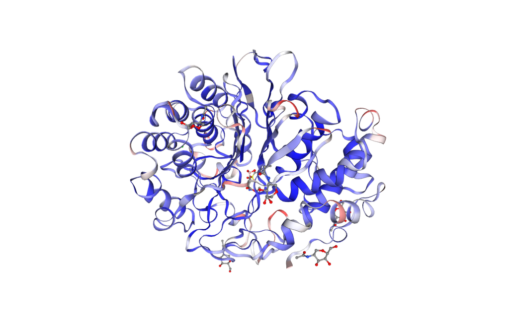 [0338-RPB375Hu01-200UG] Recombinant human Gamma-Glutamyltransferase 1 (gGT1) - 200 ug