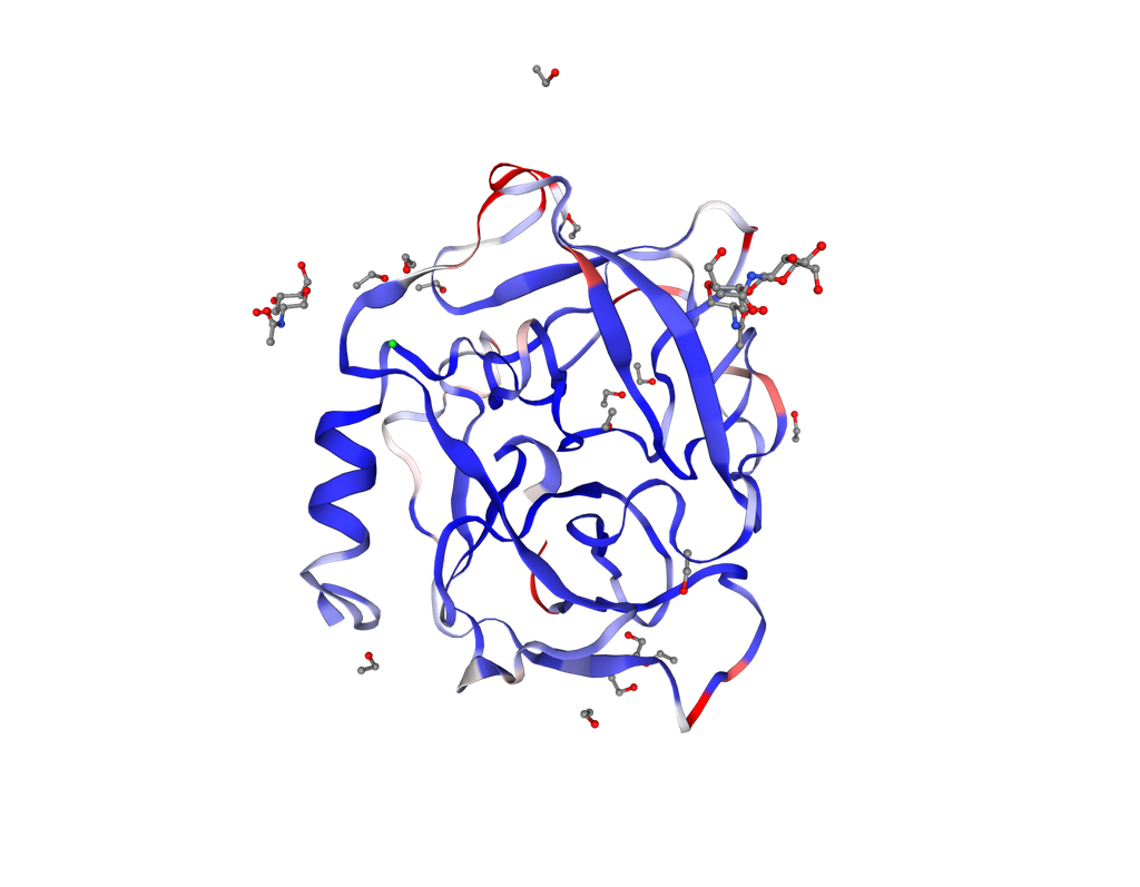 [0338-RPB461Hu01-50UG] Recombinant Human Azurocidin (AZU) - 50 ug