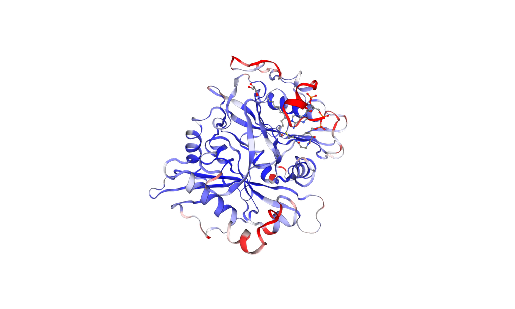 [0710-P8377-1MG] Recombinant Human NMT1 protein, N-terminal His Tag - 1 mg