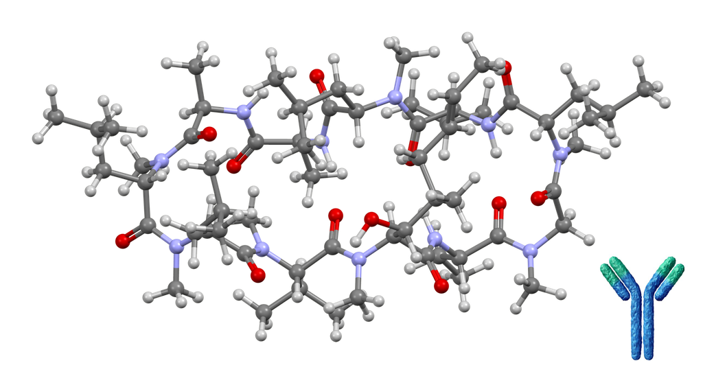 Cyclosporin A Monoclonal Antibody [Clone: 4A3 (CSZ.22)] - 10 mg