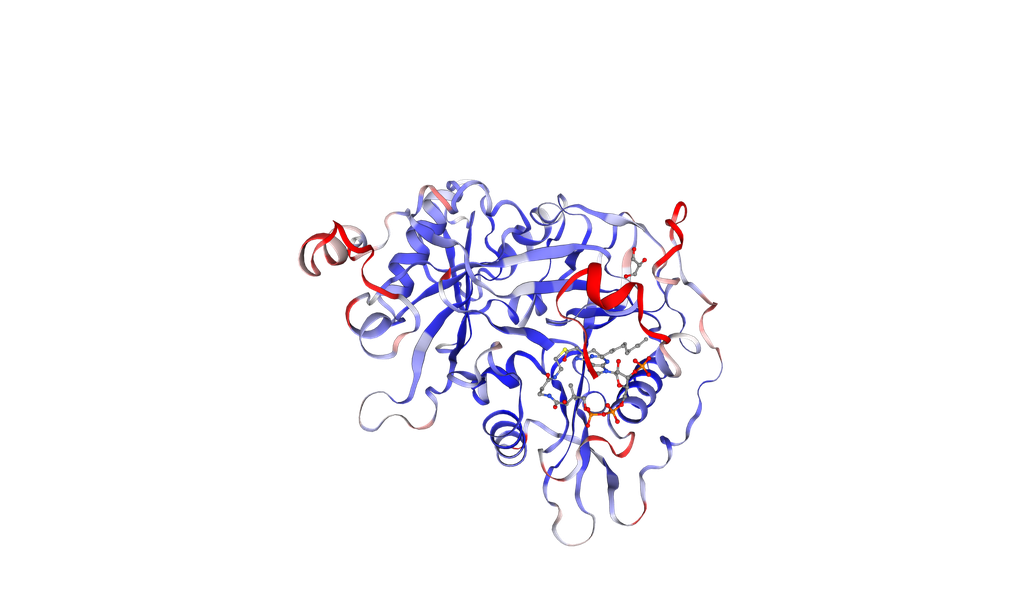 [0926-80R-4067-100UG] Human NMT1 protein (recombinant, E.coli, His-Tag) - 100 ug