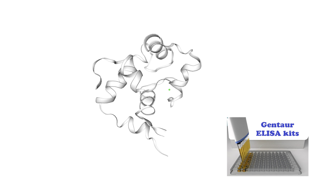 Human TNNI2 (Troponin I Type 2, Fast Skeletal) ELISA Kit - 96 wells plate