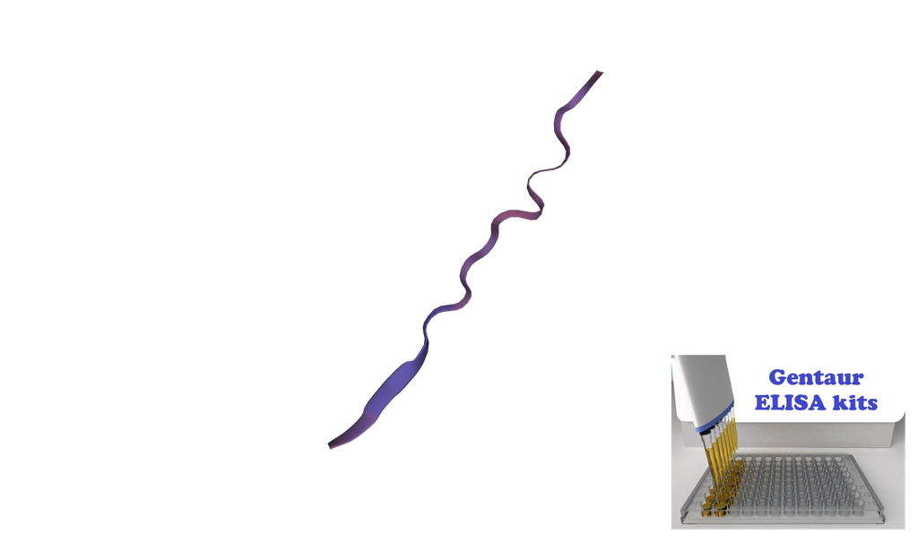 Cat/Feline Trypsin (TRP, TRY) ELISA Kit - 96 wells plate
