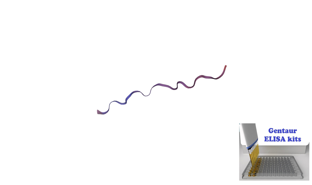 Human MOTS-c (Mitochondrial Open Reading Frame Of The 12S rRNA-c) ELISA Kit
