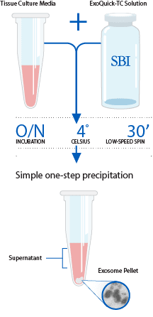 [0322-EXOTC10A-1] ExoQuick TC (exosome isolation from tissue culture media) - 10 mL