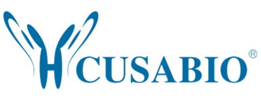 [0399-CSB-PA464342LA01EXZ-100UG] Rabbit anti-Porphyromonas gingivalis kgp Polyclonal antibody - 100ug