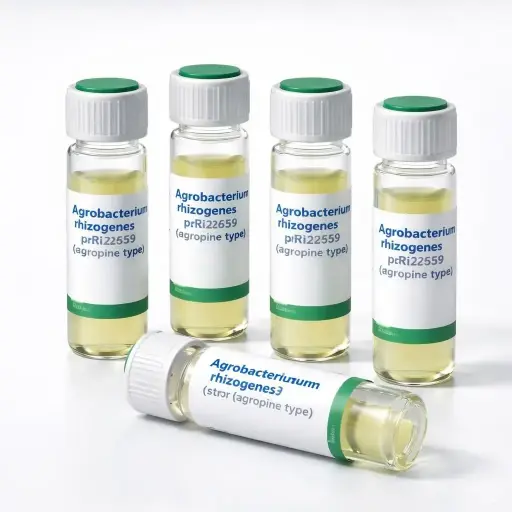 [0774-1287-36] K599 ElectroCompetent Agrobacterium rhizogenes (str R) pRi2659 (agropine type) - 18 x 50 µl
