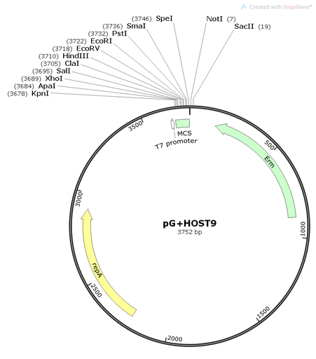 [0820-PVT11382] PG+HOST9, 2 ug